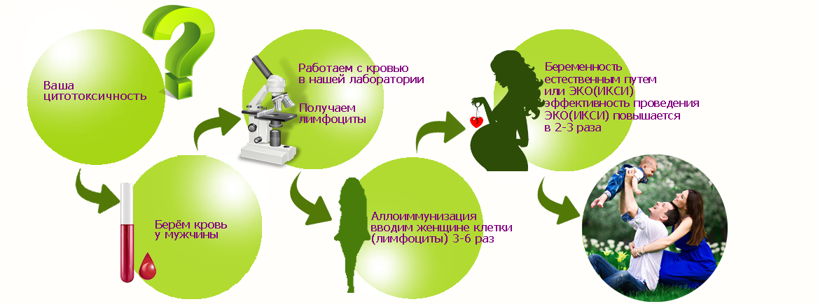 Цитотоксичность в Твери